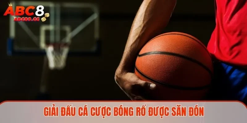 Giải đấu cá cược bóng rổ được săn đón