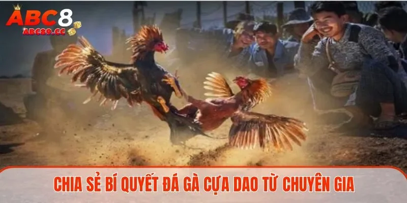 Hướng dẫn các bước tham gia đá gà cựa dao